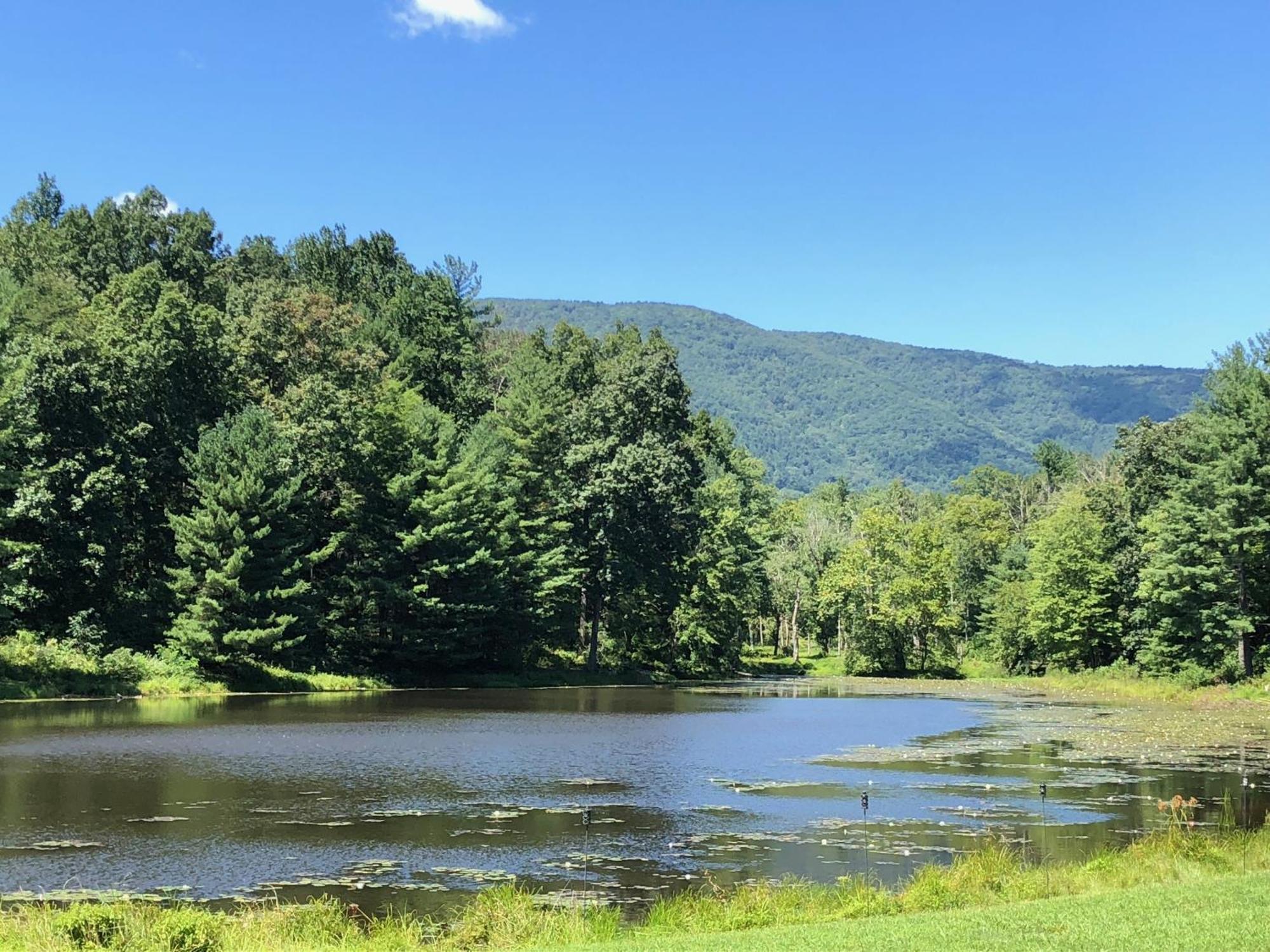 Montfair Resort Farm Crozet Pokoj fotografie
