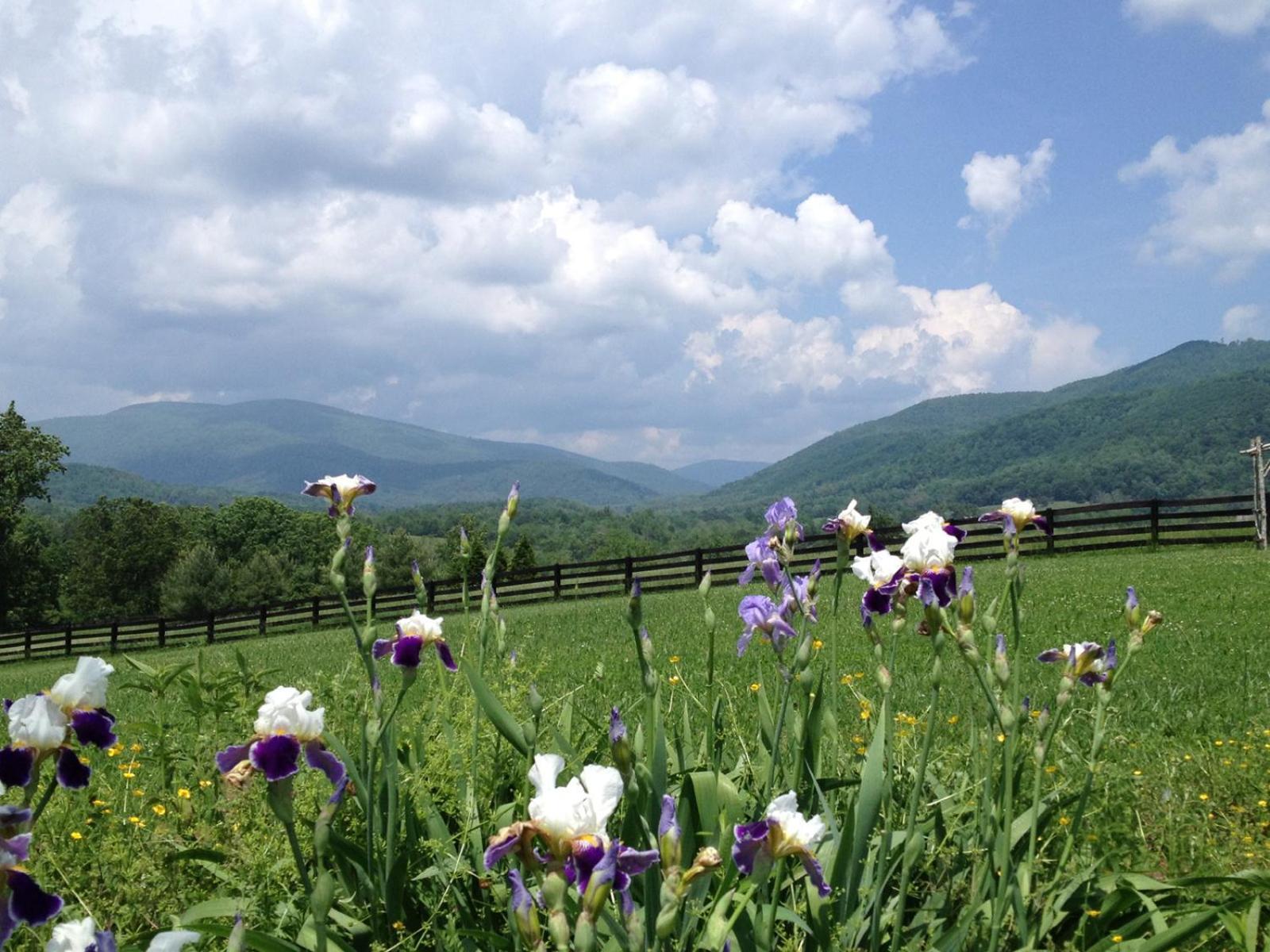 Montfair Resort Farm Crozet Pokoj fotografie
